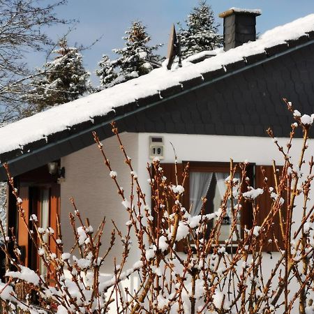 Bb19 Eifel-Ferienhaus Am Moseltal Mit Saunahaus Beuren  Extérieur photo